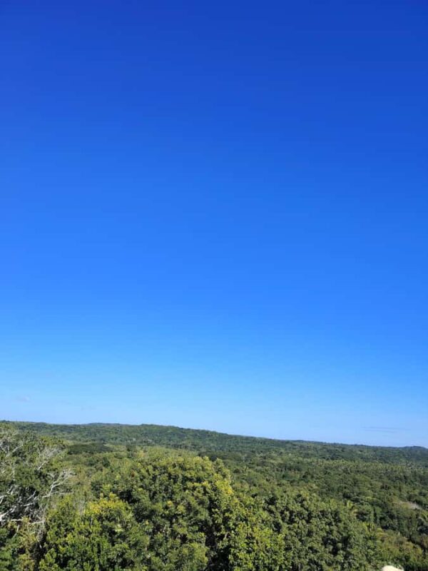 Bacalar: Ichkabal mayan temples & boat tour. - Comparing This Tour with Alternatives