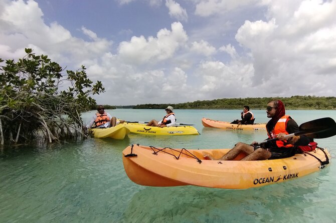 Bacalar Lagoon! Kayaks & Cenote Azul From Playa Del Carmen - Exploring Bacalar’s Famous Lagoon and Its Unique Ecosystem