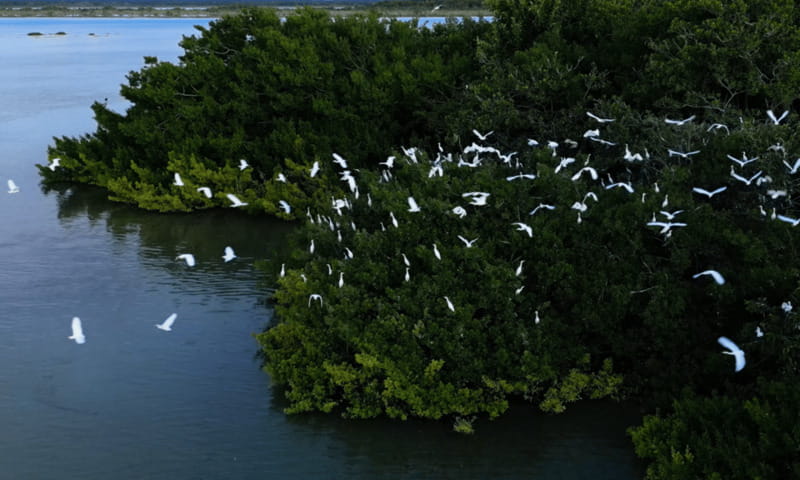 Bacalar: Lagoon, Pirate Canal, Stromatolite Day Trip w/Lunch - Practical Details & Inclusions
