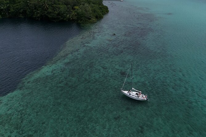 Bacalar Lagoon Tour Open Bar With Pick Up - Customer Satisfaction and Highly Praised Aspects