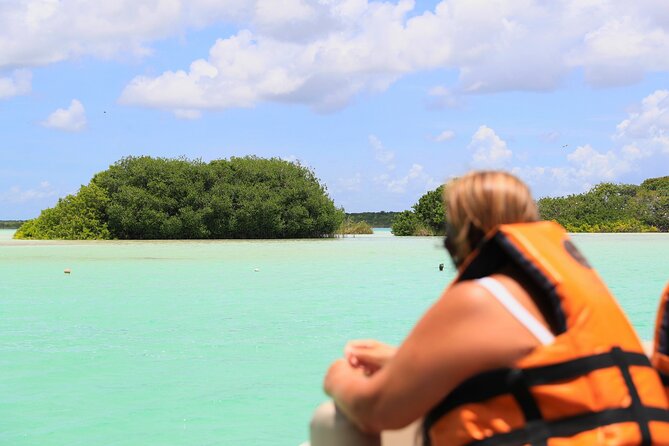 Bacalar Legends and Colors (From Tulum) - Isla de los Pájaros: Peaceful Bird Sanctuary