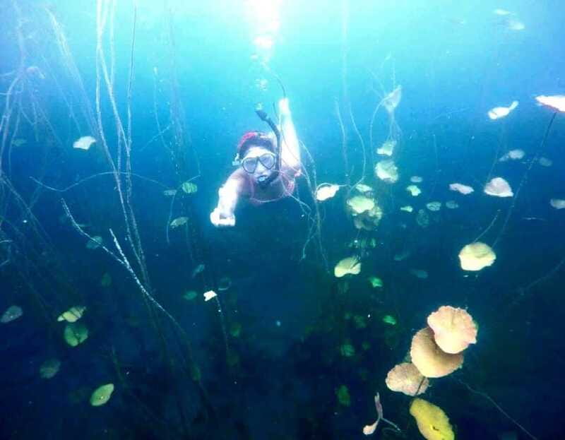 Bacalar: Magnificent Bacalar Lagoon Exclusive Boat Tour - Swimming and Snorkeling at Scenic Spots