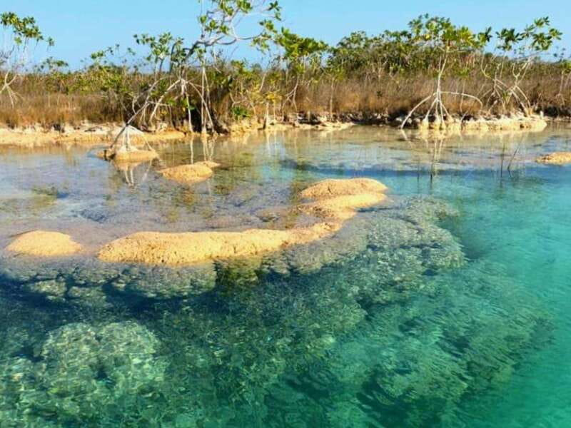 Bacalar: Magnificent Bacalar Lagoon Exclusive Boat Tour - Logistics and Practical Tips