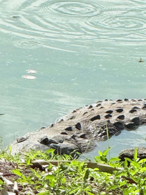Bacalar Must-dos | Ichkabal Ruins, Boat Trip & Los Rapidos - Explore Bacalar’s Top Activities in a Full-Day Tour for $109