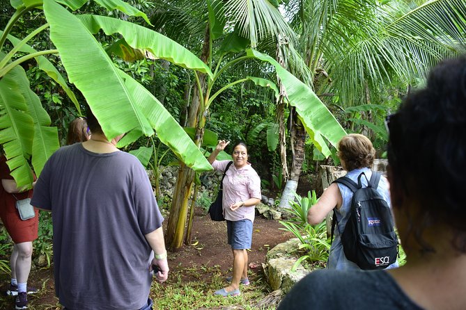 Bacalar Seven Color Lagoon and Mayan Experience Combo Tour - Transportation and Group Size