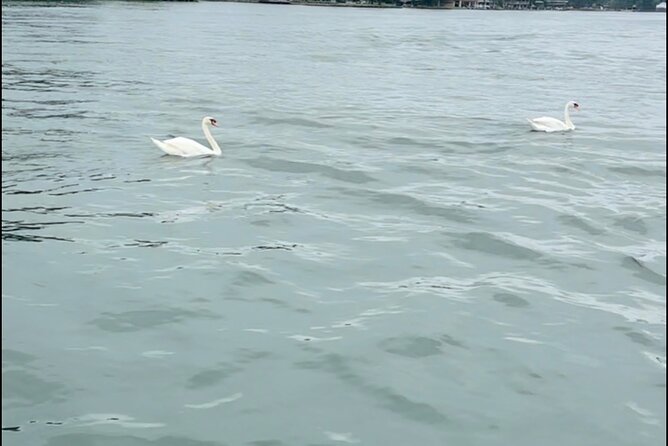 Bach Party Boat on Lake Austin 4 hours Up to 12 guests - An Exciting 4-Hour Private Lake Austin Party Boat for Up to 12 Guests