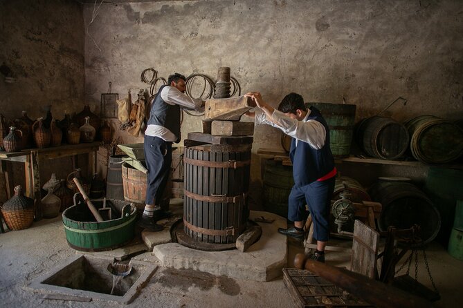 Back to the Roots - Ancient Island Interactive Experience - Meeting the Family and Exploring Their Heritage