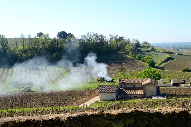Backcountry E-Bike Adventure from Bordeaux: Wine Tasting & Lunch - Discovering Floirac’s Scenic Parks and Modern Venues
