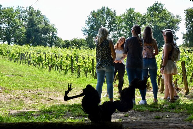 Backcountry E-Bike Adventure from Bordeaux: Wine Tasting & Lunch - Bouliac’s Hilltop Charm and Historic Church