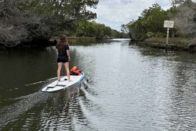 Backland Alligator Electric Paddle Tour - Discover the Backland Alligator Electric Paddle Tour in Crystal River