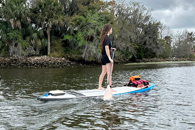 Backland Alligator Electric Paddle Tour - Exploring Shell Key Preserve’s Calm Canals