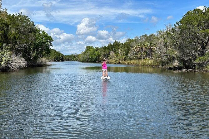 Backland Alligator Electric Paddle Tour - Beach Stop for Rest and Photos