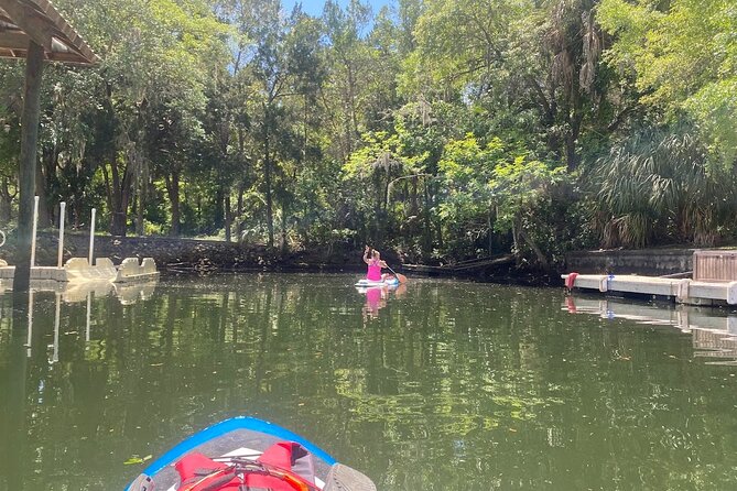 Backland Alligator Electric Paddle Tour - What’s Included and What’s Not