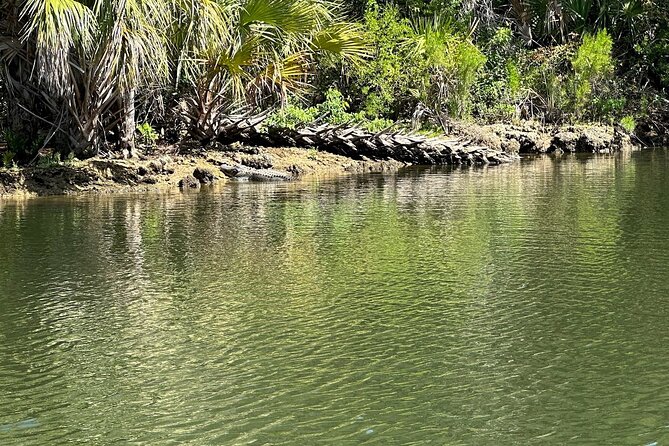 Backland Alligator Electric Paddle Tour - Flexibility and Cancellation Policy