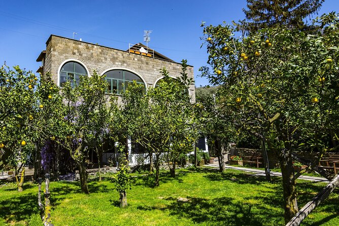 Backroads & Limoncello Experience: Sorrento E-Bike Tour - Explore Sorrento on an E-Bike with Limoncello Tasting