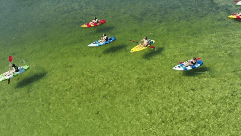 Bad Goisern: Kayak adventure on the Traun in the Salzkammergut - Practical Tips for Participants