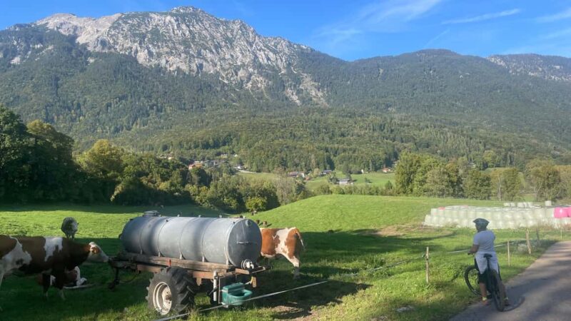 Bad Reichenhall: E-bike Panorama and Beer Garden Tour - Key Points