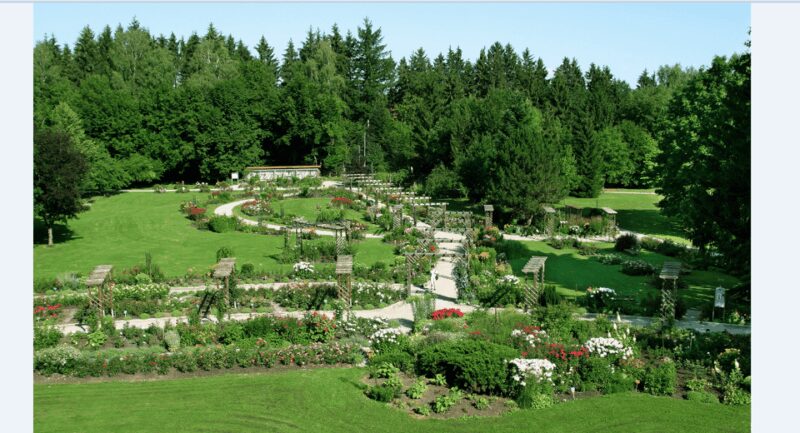 Bad Wörishofen: Rose Garden Tour - The Sum Up: A Blossoming Experience in Bavaria