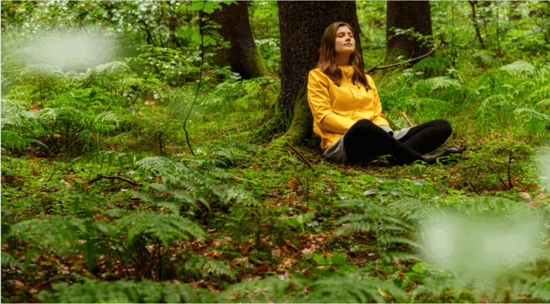 Bad Wörishofen: Shinrin-Yoku  Forest Bathing - Discover the Tranquility of Bad Wörishofen’s Forest Bathing Experience