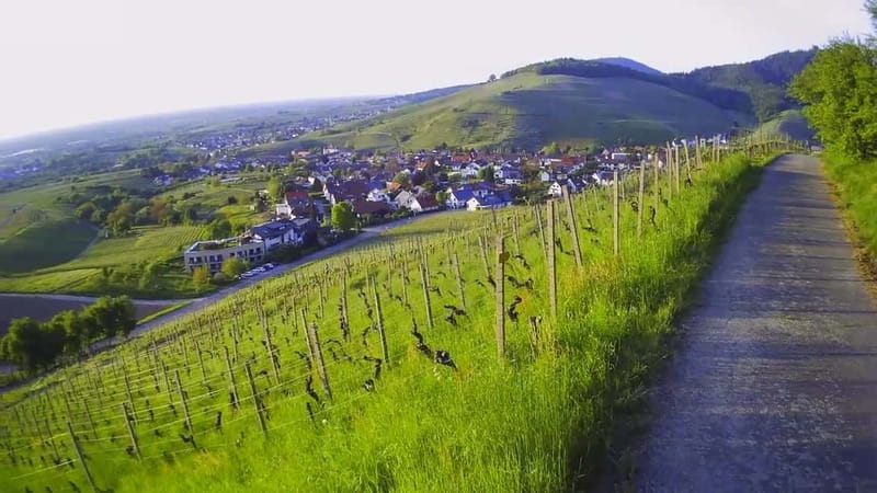 Baden-Baden: Private e-Mountainbike Tour with local Guide - Explore Baden-Baden with a Private e-Mountainbike Tour and Local Guide