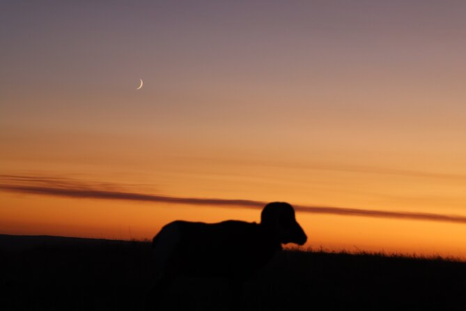 Badlands Noctourism: Shadows of Stone and Stars - The Ultimate Star Gazing Experience