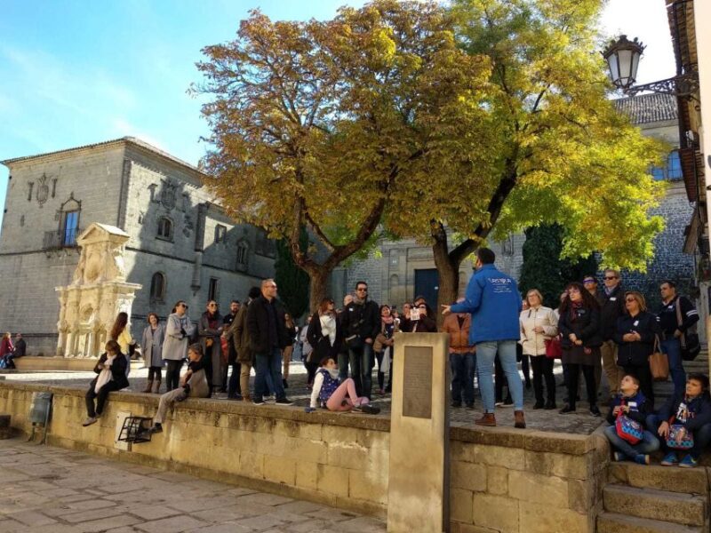 Baeza: 2.5-Hour Guided City Tour in English/French - Practical Details: Meeting Point, Accessibility, and Flexibility