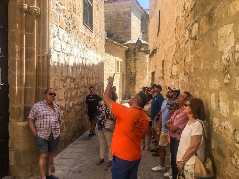 Baeza: Guided City Tour History - Visiting the Plaza de los Leones and the Medieval Tower