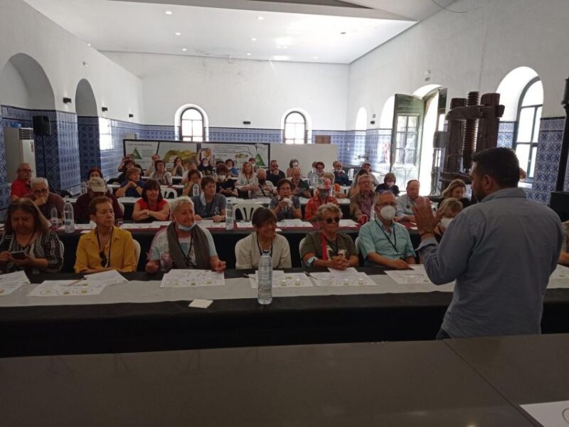 Baeza: Oil Tourism at Hacienda La Laguna - Visiting the Olive Tree Garden and Museum