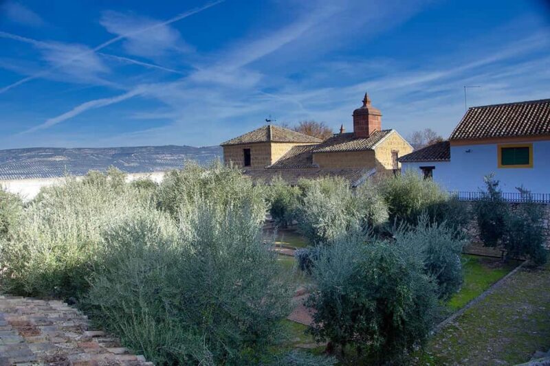 Baeza: Oil Tourism at Hacienda La Laguna - Comparing to Similar Olive Oil Experiences