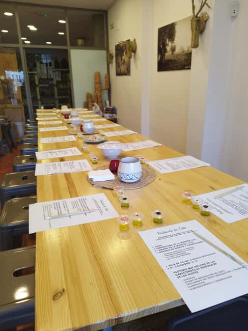 Baeza: Olive Oil Tasting Experience - Key Points