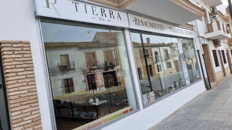 Baeza: Visit to an Organic Olive Grove + Oil Tasting - Walking Through the Organic Olive Grove