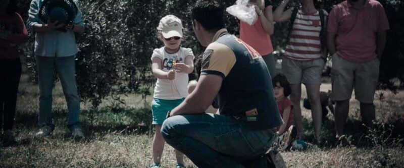 Baeza: Visit to an Organic Olive Grove + Oil Tasting - What Sets This Olive Oil Tour Apart