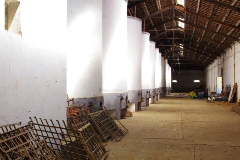 Baglio Florio Adamo: Oil Tasting - Tasting Organic Extra Virgin Olive Oil