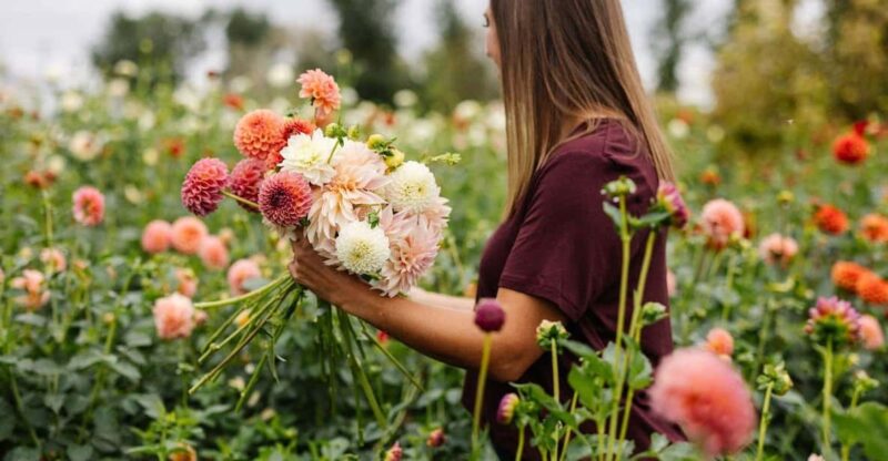 Bainbridge Island Discovery and Whiskey Tour - Value for Money and Overall Experience