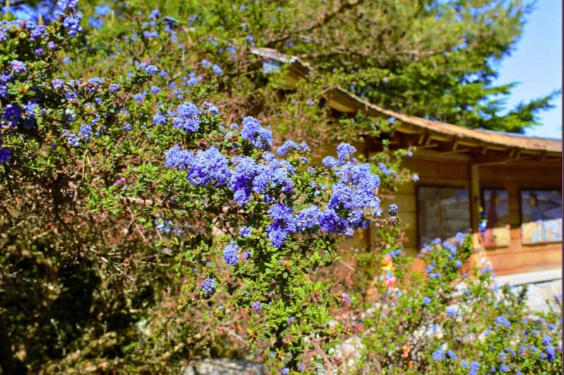 Bainbridge Island Discovery and Wine Tour - Why This Tour Stands Out from Others