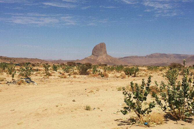 Baja Desert and Beach Electric Bike Adventure with Buffet - Transition from Desert to Pacific Coastline