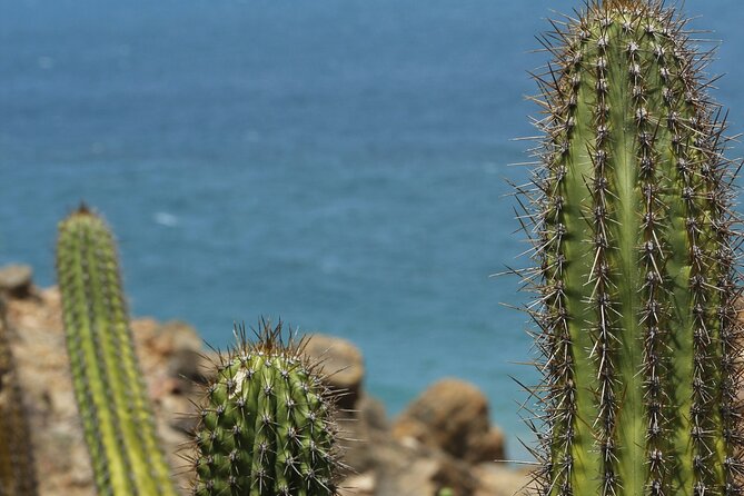 Baja Desert and Beach Electric Bike Adventure with Buffet - Final Thoughts on the Baja Desert and Beach Electric Bike Adventure