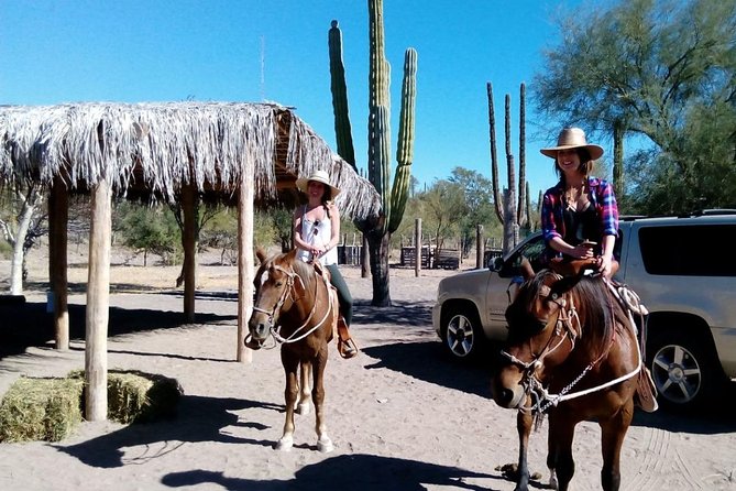Baja Desert Horseback Riding Tour - Key Points