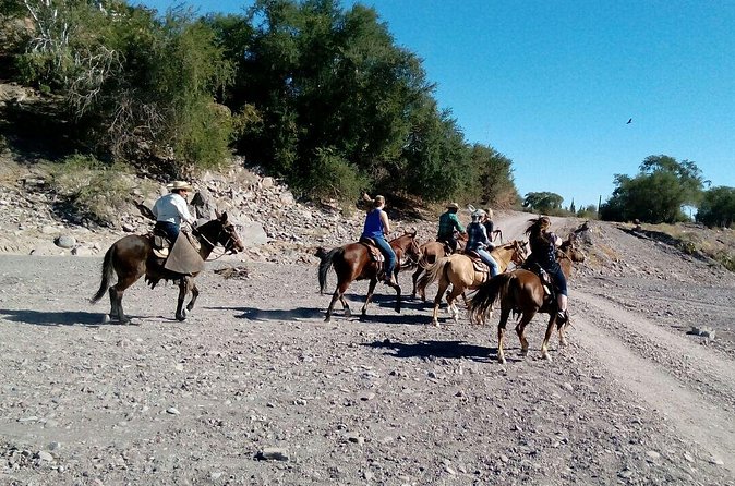 Baja Desert Horseback Riding Tour - The Desert and Canyons: An Old Road Adventure