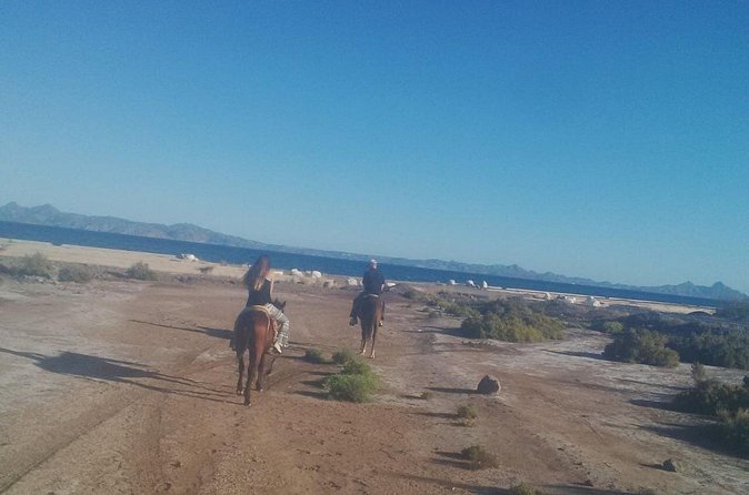 Baja Desert Horseback Riding Tour - Refreshments and Rest at Península Restaurant
