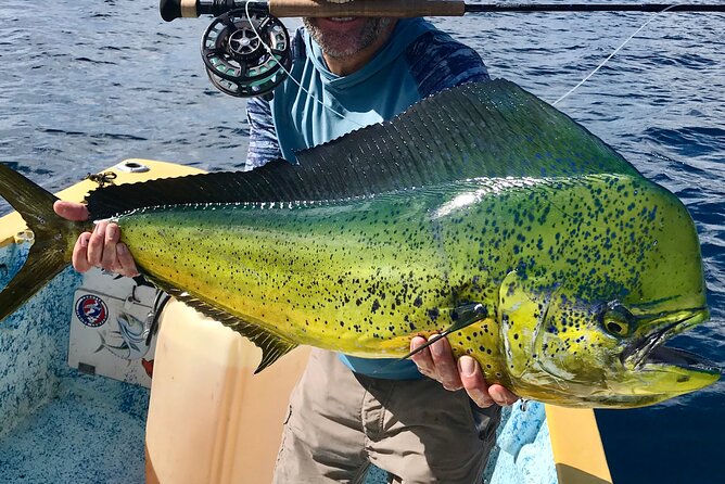 Baja Fishing Dream Roosterfish Dorado Marlin Yellowtail Tuna - Discover the Excitement of Baja Fishing Dream in La Paz