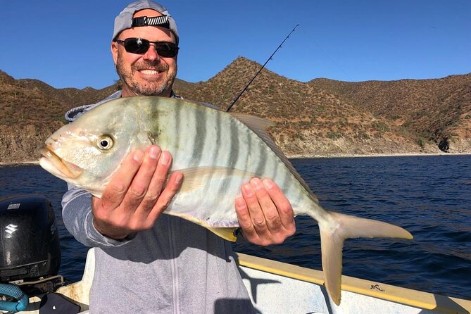 Baja Fishing Dream Roosterfish Dorado Marlin Yellowtail Tuna - The Varied Fish Species of the Sea of Cortez