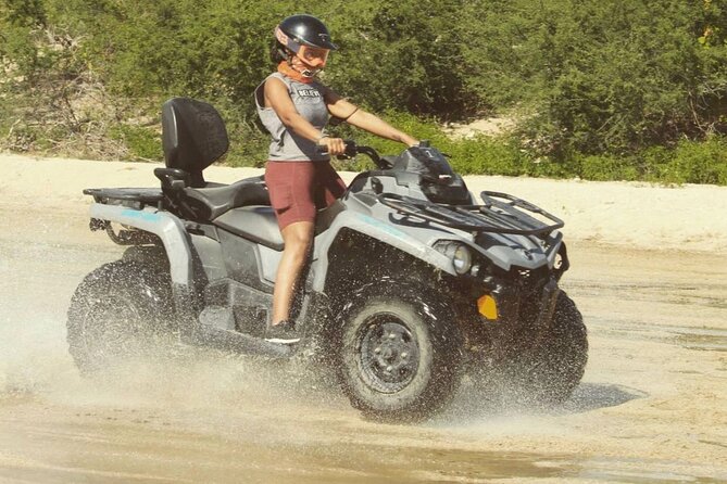 Baja's ATV Desert and Beach Tour - Wildlife, Flora, and Local Insights
