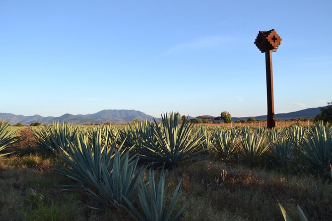 Bajas Hidden Feast: From Smoky Mezcal to Seefood Cuisine - Sip Regional Wine or Craft Beer Along the Way