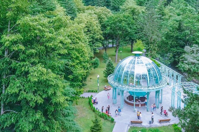 Bakuriani-Borjomi full day trip - Who Will Appreciate This Tour Most?