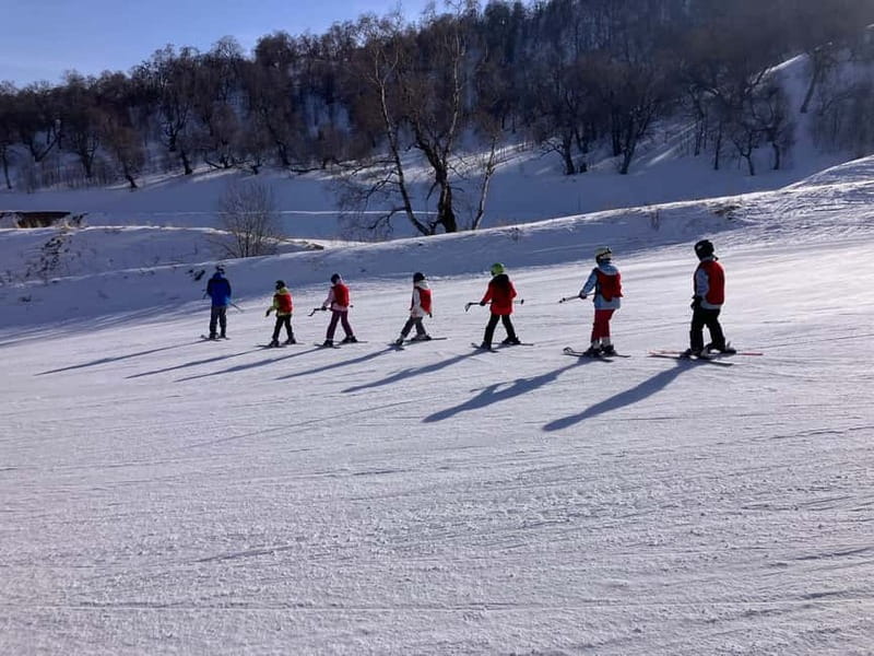 Bakuriani: Private or group Ski Lesson - Key Points