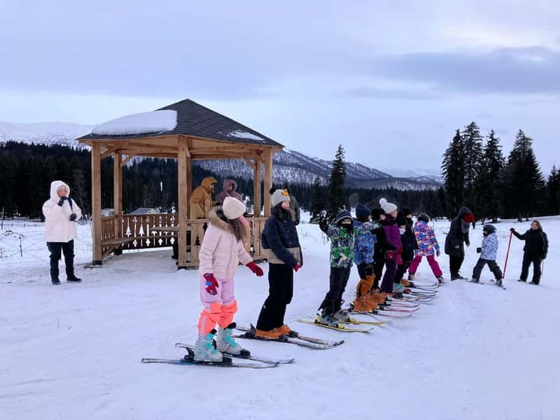 Bakuriani: Private or group Ski Lesson - Ski Instruction for All Levels in the Mountain Classrooms