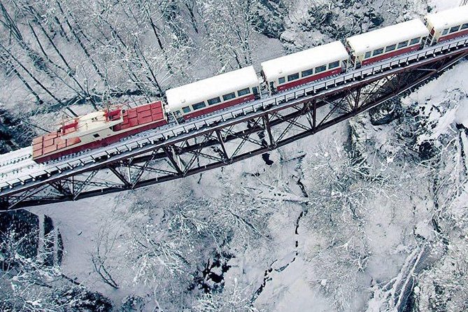 Bakuriani ski resort and the legendary Borjomi (Group Tour) - Scenic Journey on the Kukushka Railway to Bakuriani