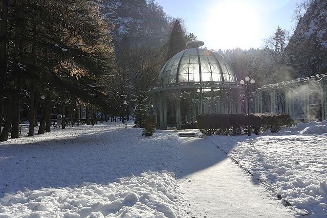 Bakuriani ski resort and the legendary Borjomi (Group Tour) - Practical Details & Group Experience