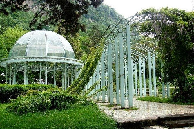 Bakuriani Ski Resort Private Day Tour from Tbilisi Snow Adventure - Exploring Borjomi Central Park and Borjomi-Kharagauli National Park